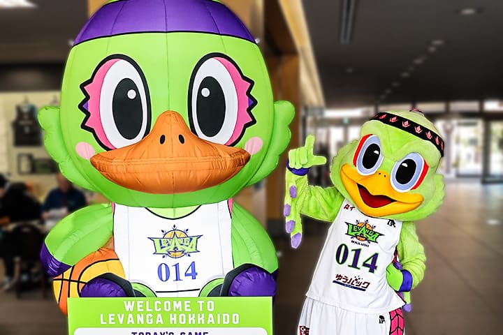 団体限定オプション